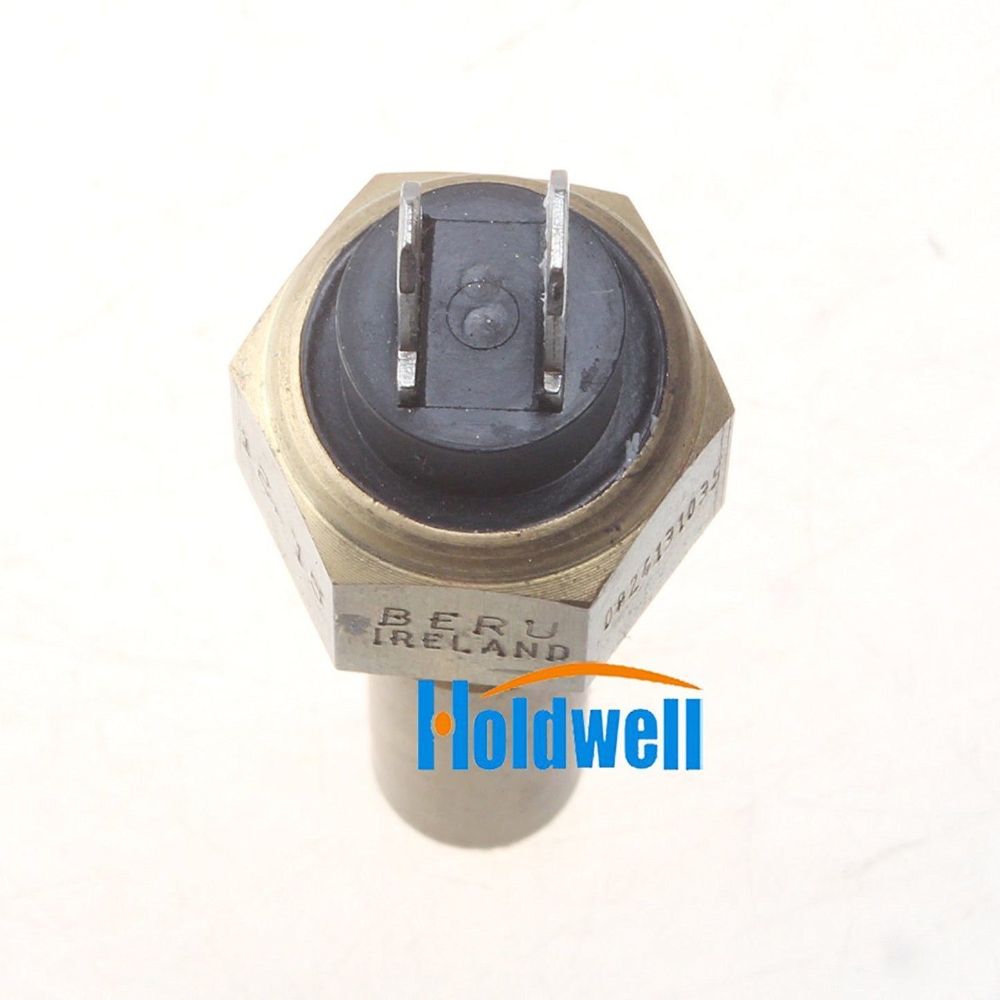 Holdwell Temperature Sensor 04217846 for Deutz Engine F2M2011