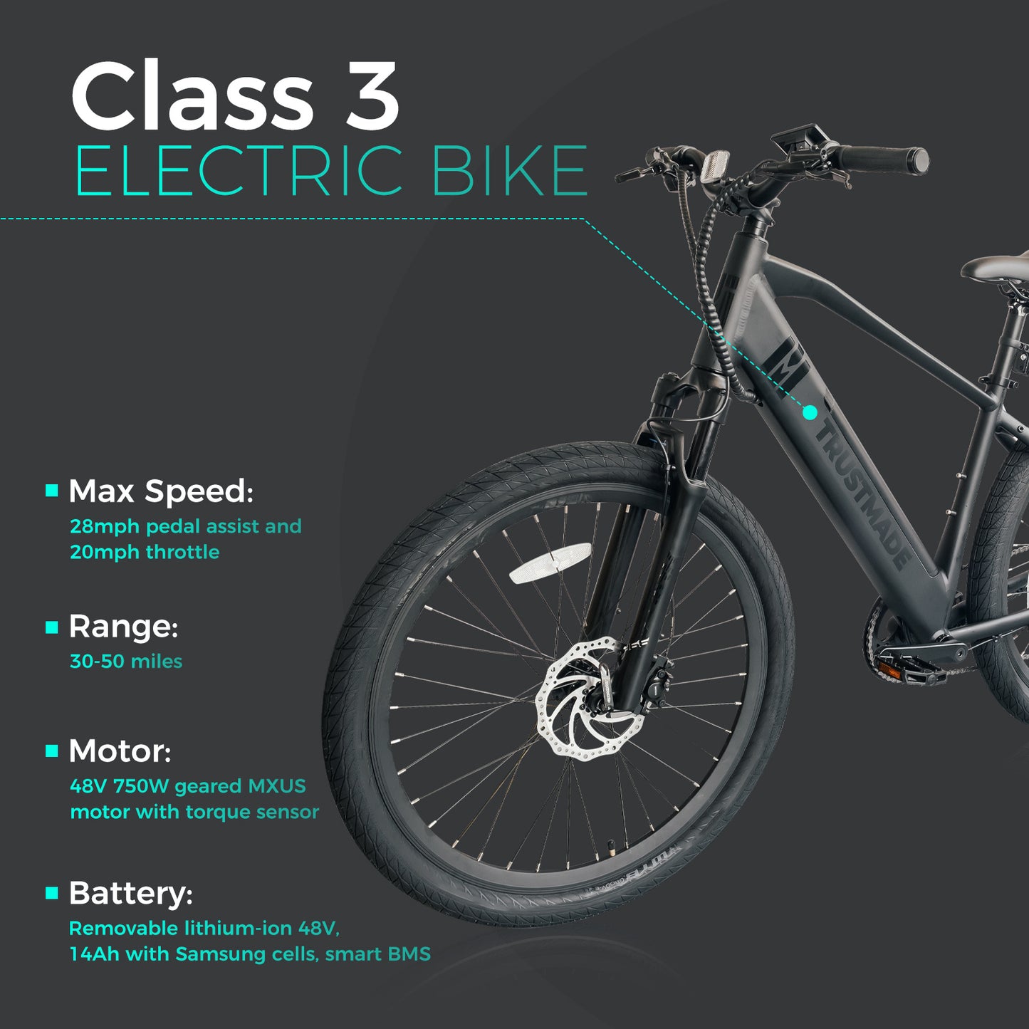 Trustmade Ebike